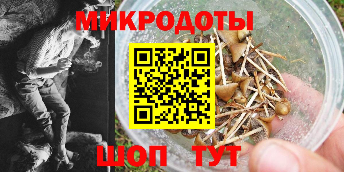 Лосино-Петровский  Псилоцибиновые грибы мухоморы  Вход с VPN 