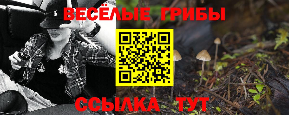Галлюциногенные грибы Psilocybine cubensis Лосино-Петровский